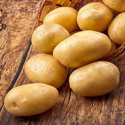 Картофель Каррера (Carrera)