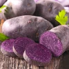 Картофель Солоха