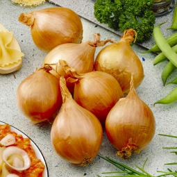Цибуля шалот Golden Gourmet (Голден Гурме) 0.5 кг Цибуля шалот Golden Gourmet (Голден Гурме) 0.5 кг