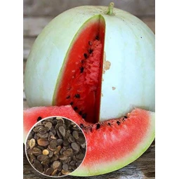 Кавун Цільнолистий (насіння) 100 г