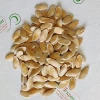 Дыня Медовая (семена) 100 г