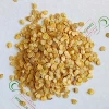 Перець Кубовидний товстостінний (насіння) 20 г