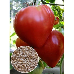 Томат Бычье сердце красное (семена) 20 г