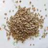 Томат Цифомандра (насіння) 20 г