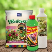 Комплекти для кімнатних рослин