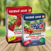 Добрива для плодових кущів
