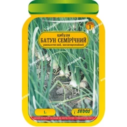 Лук Батун Семилетний 1 г
