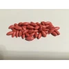 Огурец Рацибор F1 (45-55 шт)