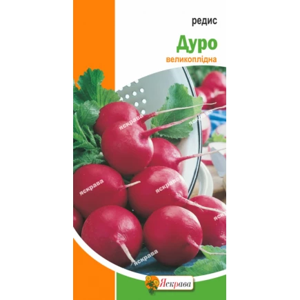 Редис Дуро (великоплідний) 3 г