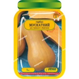 Тыква Мускатная 5 шт Тыква Мускатная 5 шт